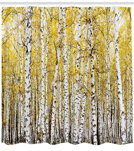 ABAKUHAUS Forest Shower Curtain, Autumn Birch Forest Golden Yellow Leaves Woodland October Seasonal Nature Picture - Image 2