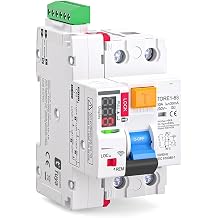 Type A RCD RCCB 6KA 2P 16A 25A 32A 63A 30mA Auto Recloser Electromechanic Residual Current Circuit Breaker20A