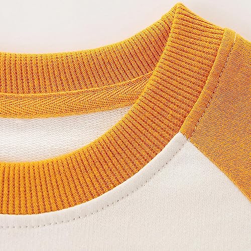 Toddler Autumn Tops Boys 2024 Skateboarding Dinosaur Print Casual Pullover Round Neck Long Sleeve Sweatshirt4