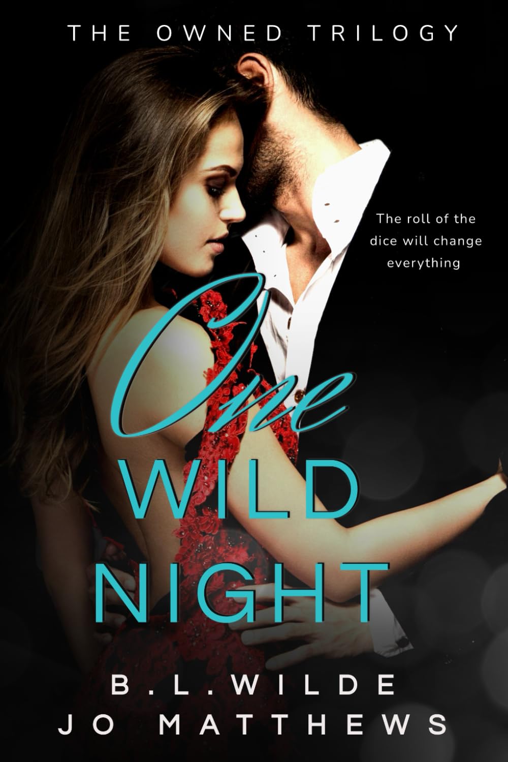 One Wild Night (The Owned Trilogy #1): A Forbidden, Mafia Romance