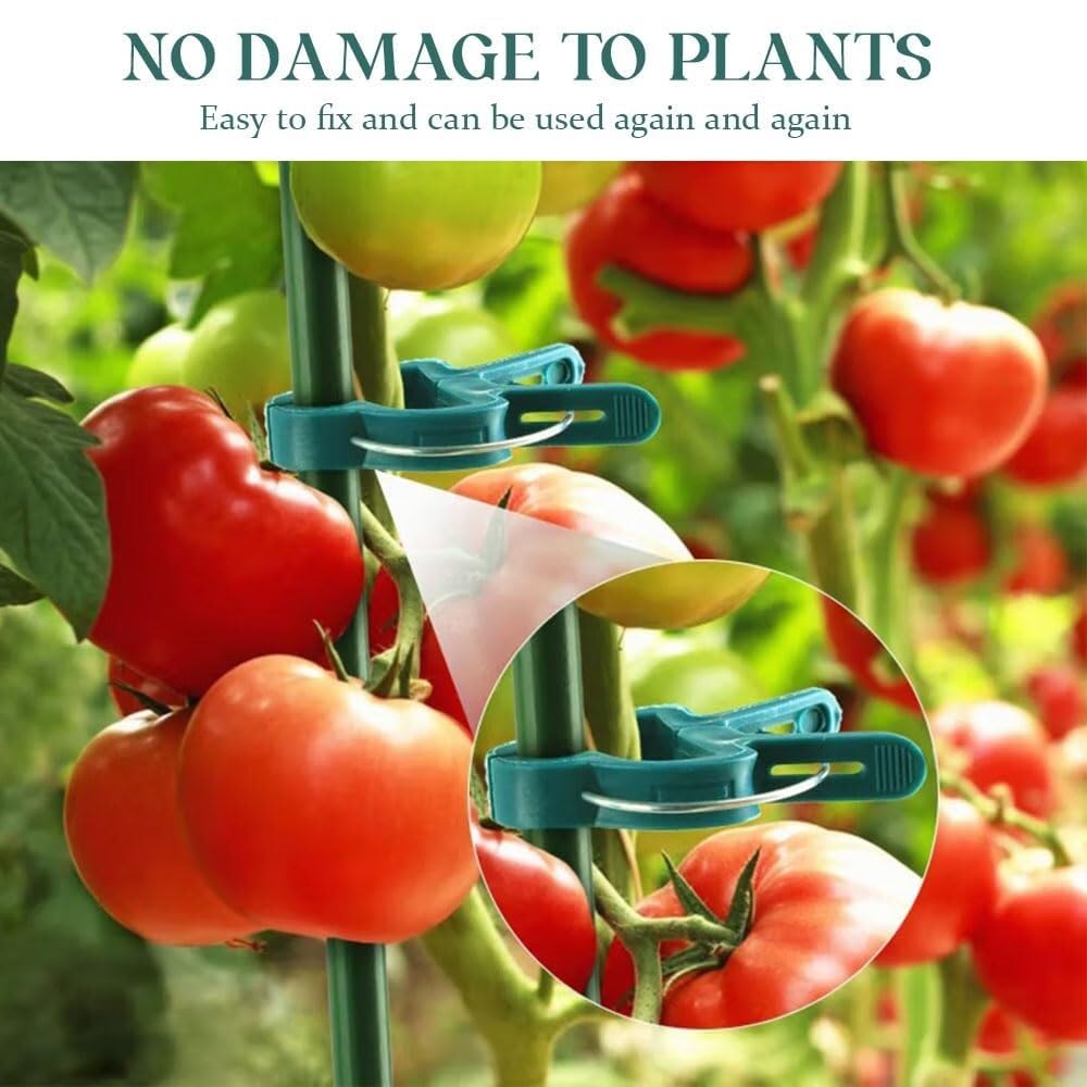 Piccole clip di supporto per piante in plastica sicure per piante rampicanti Clip di fissaggio per pomodori Clip per vite da giardino per traliccio a corda - Clip per piante durevoli e affidabili