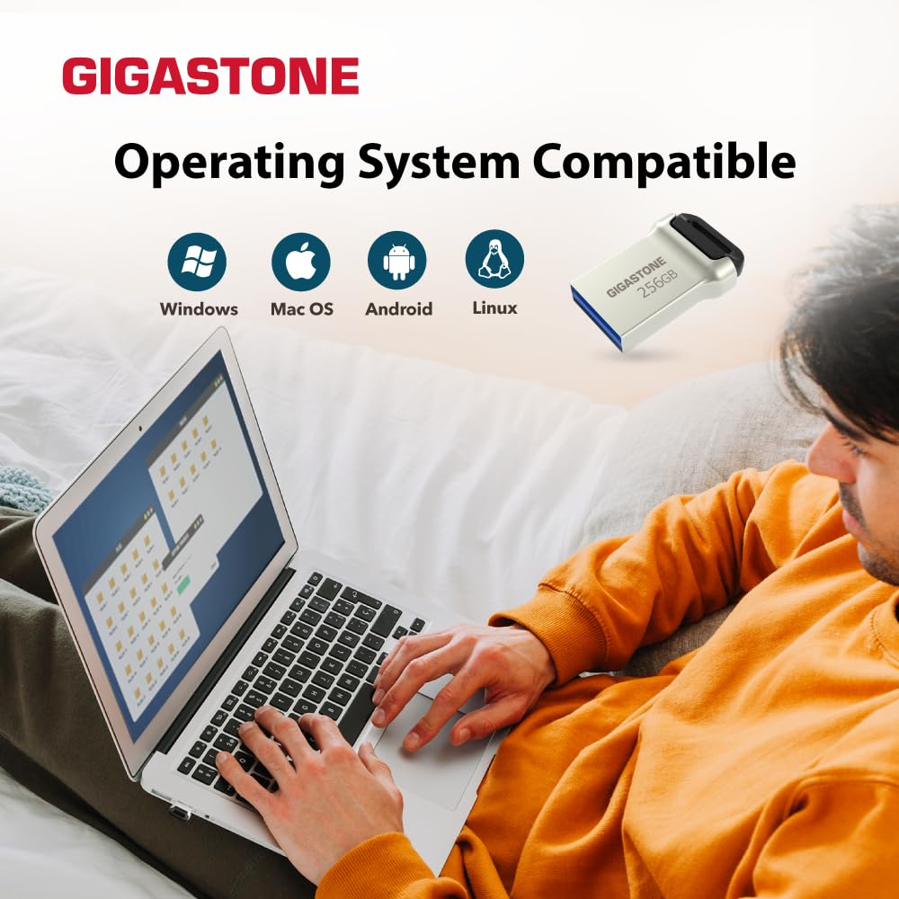GIGASTONE 256GB Nano Flash-Laufwerk, Z90 USB 3.2 Gen 1, 120MB/s UltraSchnell, Mini, Metalldesign, Daten­speicherung, Backup für PC/Mac/TV/Auto, USB 2.0/3.0/3.1 Kompatibel