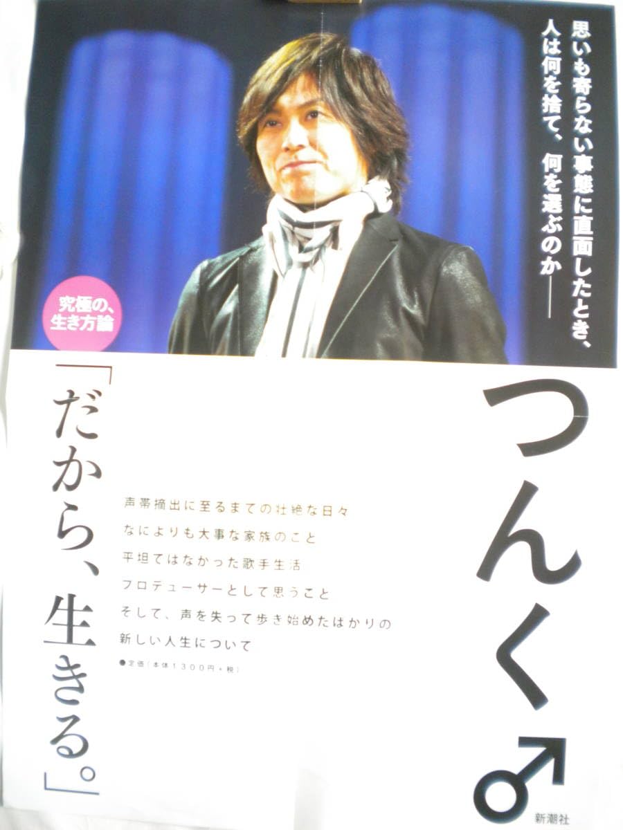 レア B2大 ポスター　Stardelight  TAK-Z レア】映画『ドラゴンボールZ 極限バトル!! 三大超サイヤ人』 ポスター B2