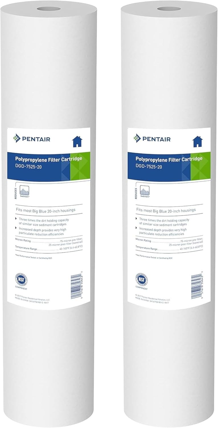 Filtro Pentair 155359-43 Dgd-2501 | Meses Sin Interés - Foto 9