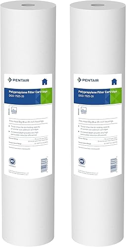 Miniatura 1 de Pentair Pentek DGD-7525-20 - Filtro de agua azul grande, repuesto de cartucho de filtro de sedimentos de 20 pulgadas para toda la casa,