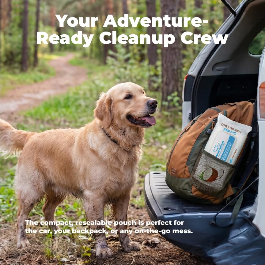 Image of Best Pet Supplies 8 inch x 9 inch Large Dog Wipes - Cleaning and Deodorizing for Paws and Coat - Gentle Formula with Coconut Vitamin E for Puppies and Cats - 100 Count