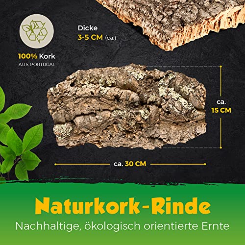 Korkrinde Korkstück, 30 x 15 cm (Naturkork, Zierkork) gereinigt & desinfiziert – ideal für Haustiere (Nager + Vögel) oder Basteln & Hobby (Modellbau), unbehandelte Rinde von der Korkeiche, flach