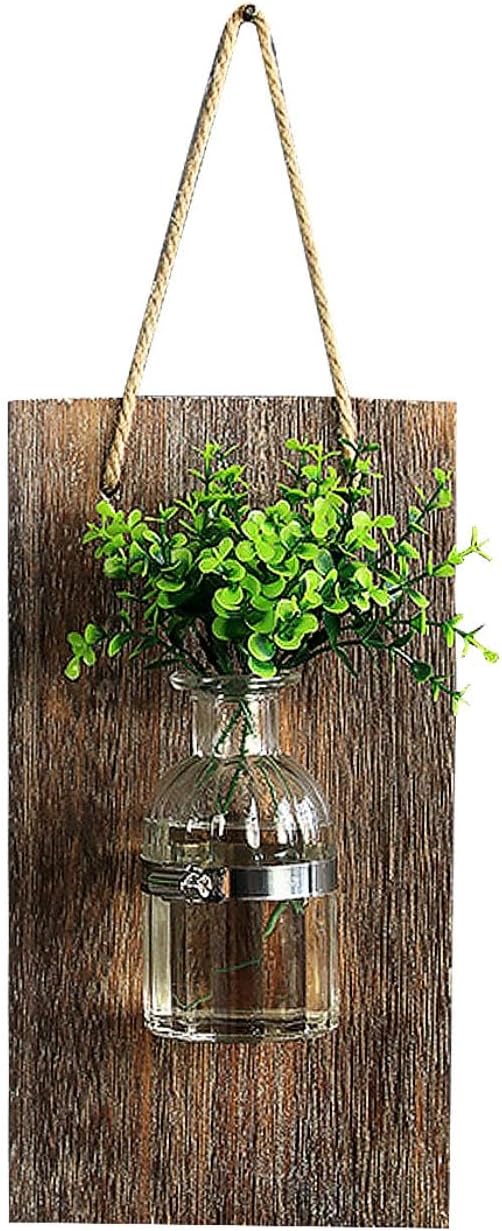 Plantadores Colgantes