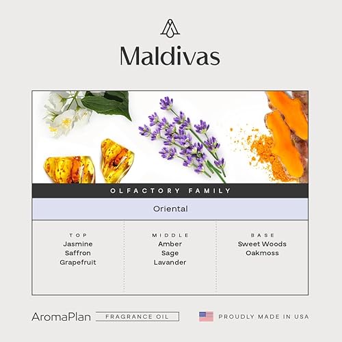 Miniatura 2 de AromaPlan Hotel Scents Maldivas, 5 onzas líquidas (5.0 fl oz), aceite difusor de fragancia para hotel y aroma de lujo para el hogar, aceite difusor