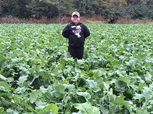 Horny Buck Food Plot Seed for Deer - Tankalicious Blend Mix