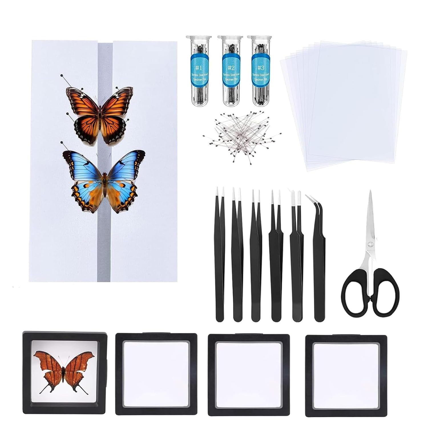 Butterfly Specimen Kit Includes pins, mounting Board, Spreading Tools, Display case, Labels, Forceps, Preserving and showcasing Butterfly specimens. (Insect Needle Specimen Tools)