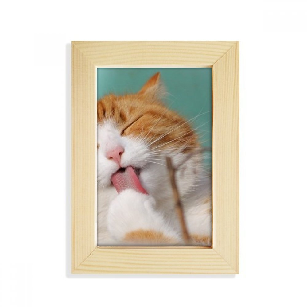 Portafotos de gato de rayas amarillas para decorar estanterías y salones familiares