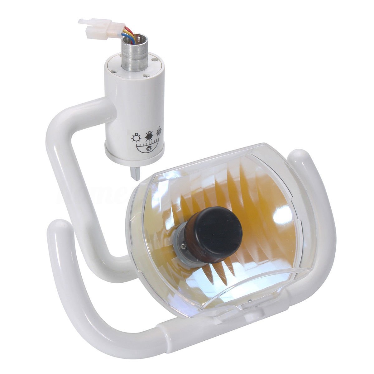 NSKI Lampada a luce orale senza ombra dentale Luce fredda chirurgica per sedia dell'unità dentale 22mm US Stock