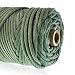 GOLBERG 750lb Paracord / Parachute Cord – US Military Grade – Authentic Mil-Spec Type IV 750 lb Tensile Strength Strong Paracord – Mil-C-5040-H – 100% Nylon – Made in USA