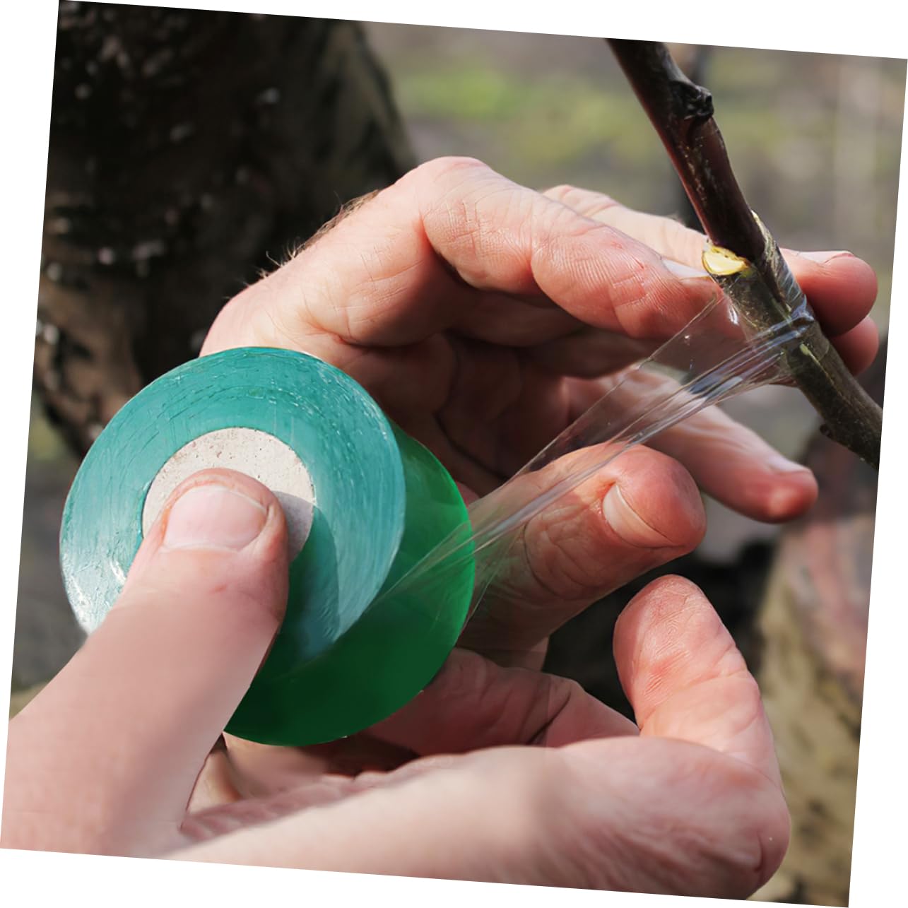 BESPORTBLE 12rotoli Nastro per Innesti Autoadesivo da Film per Innesto di Piante Impermeabili Flessibili e Traspiranti per Giardinaggio e Floricoltura