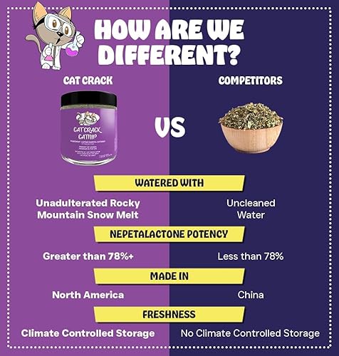 Miniatura 9 de Cat Crack Hierba gatera orgánica, mezcla orgánica 100% natural que energiza y excita a los gatos, golosinas seguras de hierba gatera utilizadas