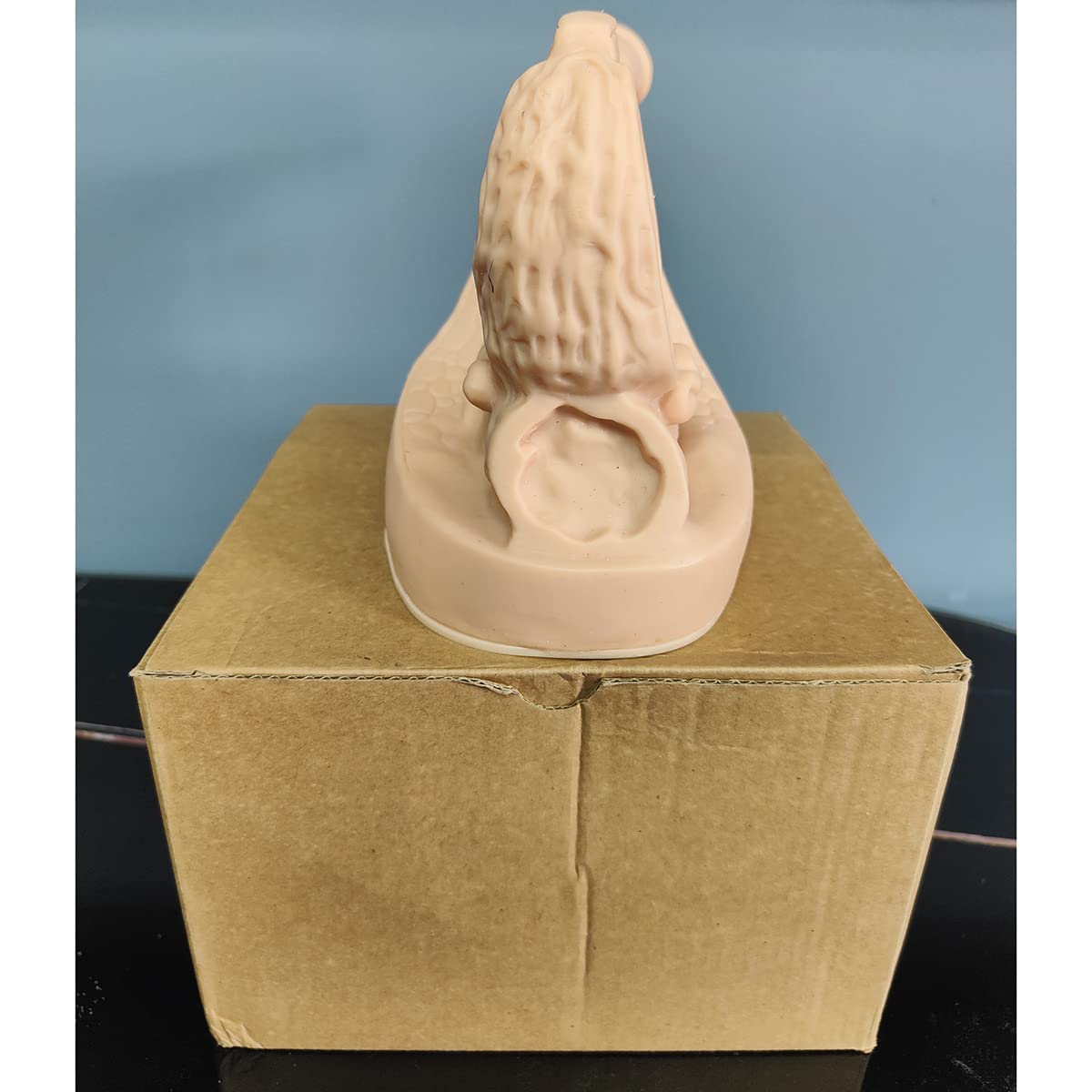 Male Reproductive Organ Model - Anatomical Training Manikin - PVC Material, Light Brown, For Medical Professionals, Students, and Educators