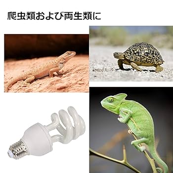 Amazon | ShiawaseforU UVB 10.0 爬虫類ライト 紫外線ライト