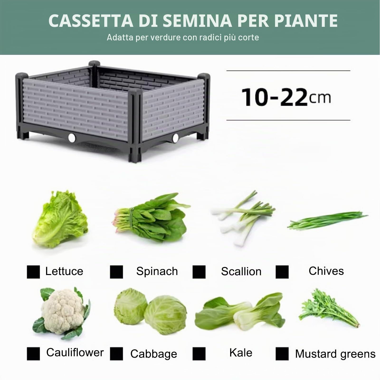 Orto Verticale, Fioriera da Esterno in PP, Fioriere da Giardino Rialzate per Terrazza e Balcone (Profondità Interna 15cm)