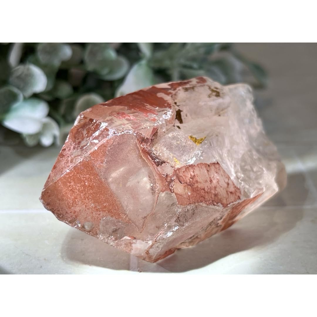 Amazon.co.jp: ブラジル ゴイアス州産 レッド レムリアンシード