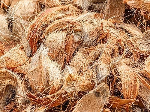 JaiSakshi Natural Organic Treated Coconut Husk for Orchid, Nariyal Jatta (Chilke) Thenga Husk Raw - Fresh, 480 Gm (B0DGCQ48D4) Amazon Price History, Amazon Price Tracker