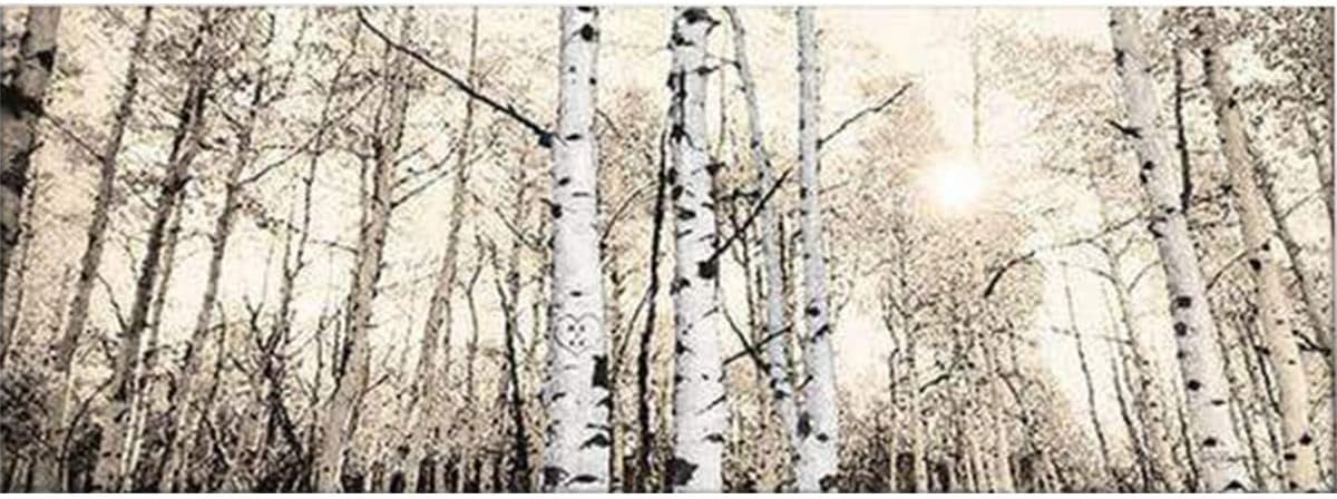 BLACK FOREST DECOR Sunrise Aspens Personalized Block Mount 26" Wx9.5 H