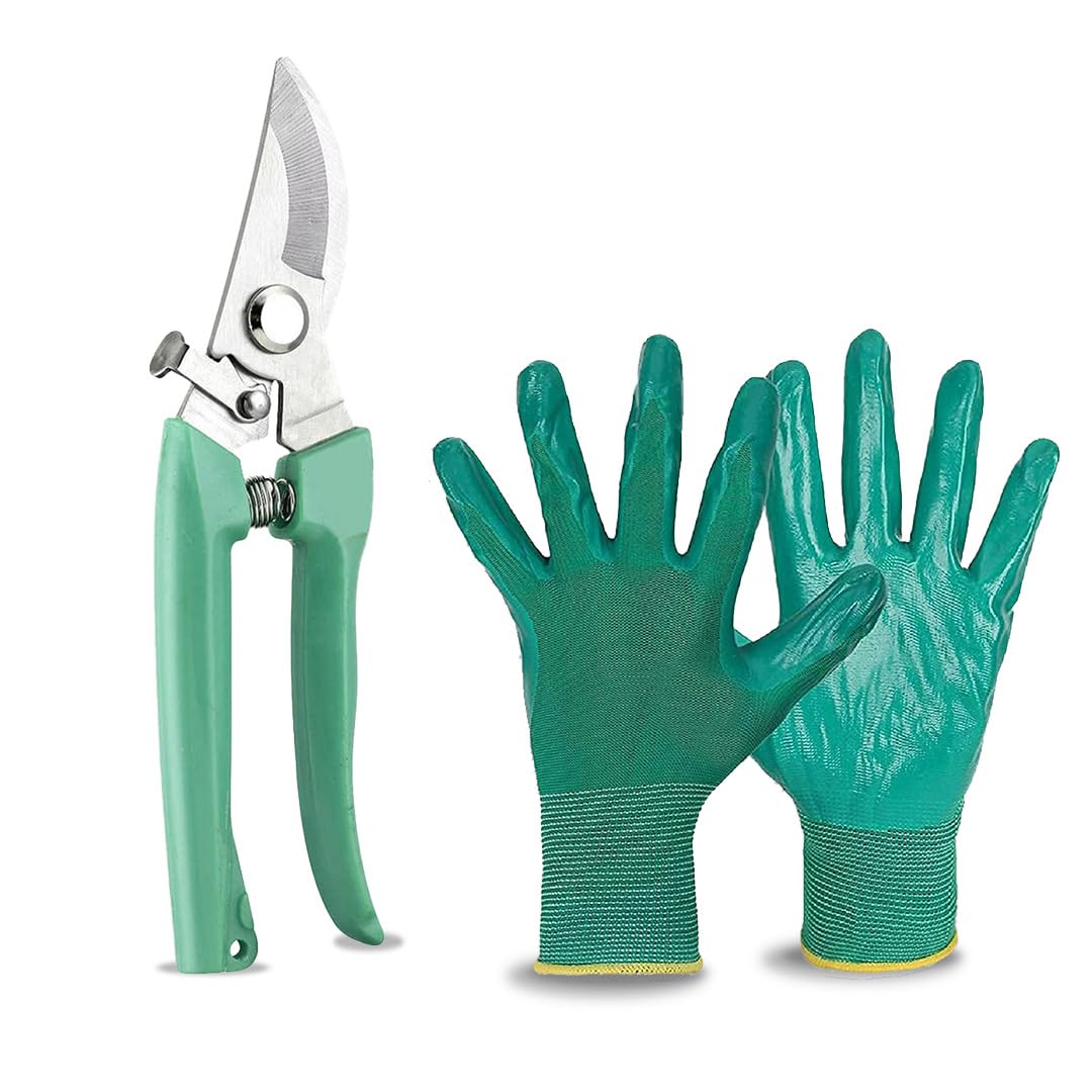 Kraft Seeds by 10 CLUB Plant Cutter Garden Tool for Home Gardening - 2 Pcs (Branch Cutter, Gardening Gloves) | Durable Pruner for Trees Shrubs (B083G3GMX5) Amazon Price History, Amazon Price Tracker