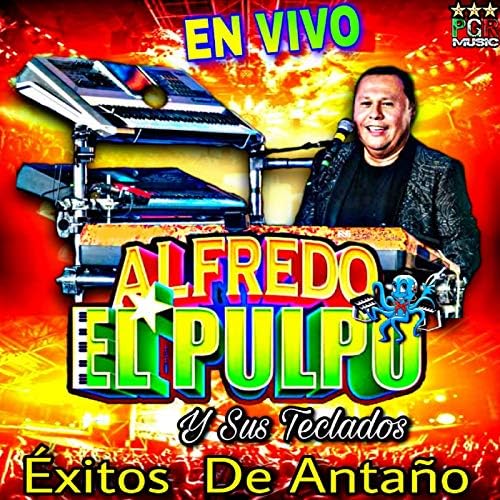 Alfredo el pulpo y sus teclados Todos los tipos de teclados