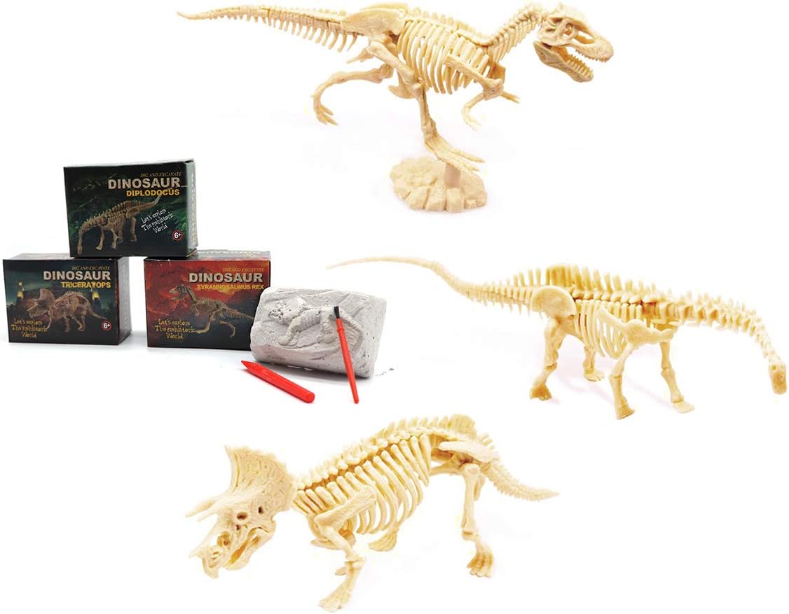 3 Packs Kids Dino Fossil Skeleton Excavation Archeology Science Toys, Dig Assemble Discover Dinosaurs, T-Rex Triceratops Diplodocus DIY Kit