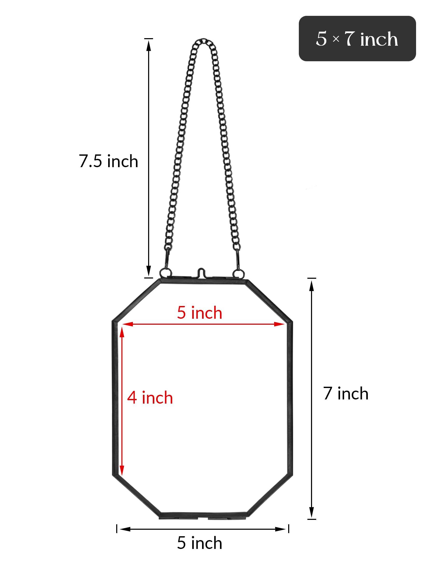 REDHUGO gepresste Blumenrahmen, schwebende Glasrahmen zur Präsentation von getrockneten Pflanzenspezimen, hängender Messing-Fotorahmen mit Kette, doppelt klares Glas, Vintage Wanddekoration, Achteck