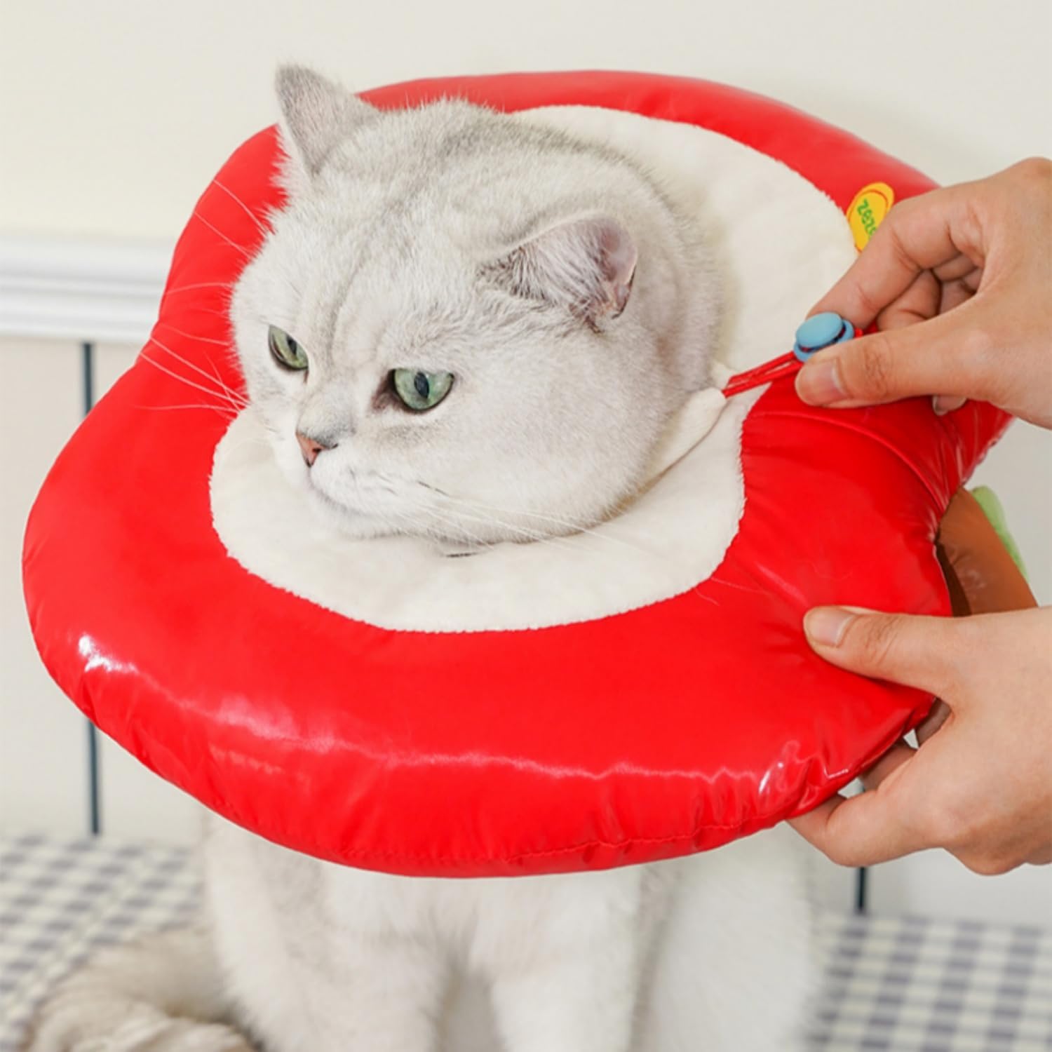 Cat Cone Collar Soft,Cat Recovery Collar for Wound Healing Stop Licking,Adjustable Neck Elizabethan Collars for Cats Kitten Puppy After Surgery (Red,l)