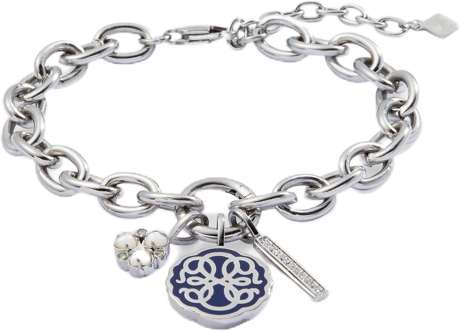 Alex and Ani Path Of Life Multicharm Interchangeable Link