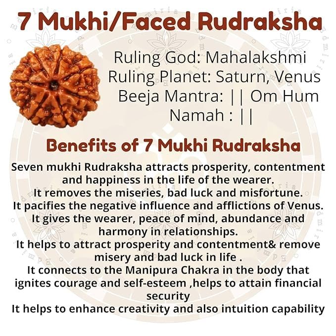 Nepali Rudraksha Beads 2 Mukhi 3 Faced, 4 Mukhi, 5 Face, 6 Mukhi, 7 Mukhi Certified Natural Himalayan Rudrakhsha Beads for Healing, Pooja, Meditation, Prayer, Japa4