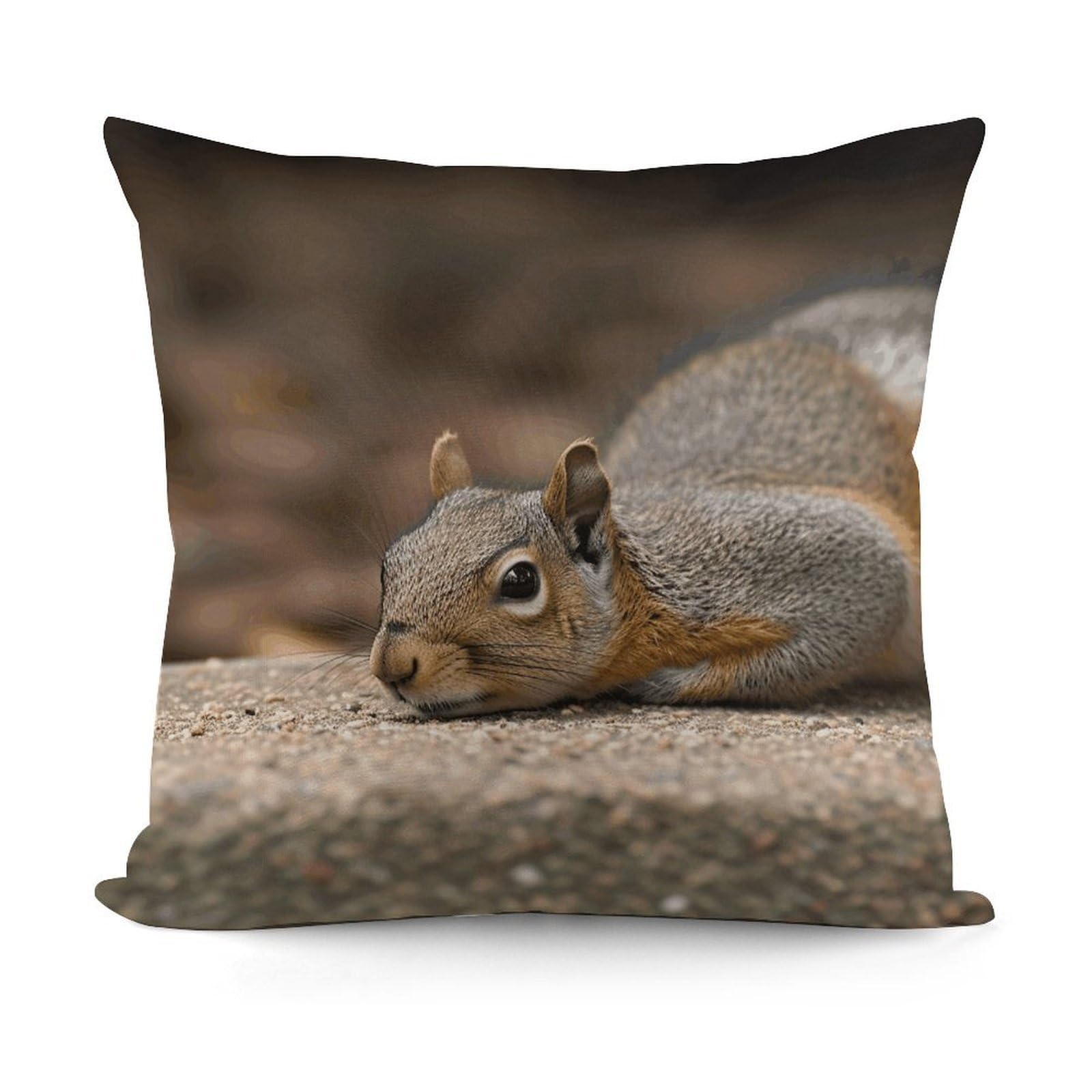 Adfgyerh Style Squirrel Just Laying Decorative Pillow Covers, Throw Pillow Covers Soft For All Seasons, Pillowcases For Couch Living Room Sofa Bedroom 18X18 Inch