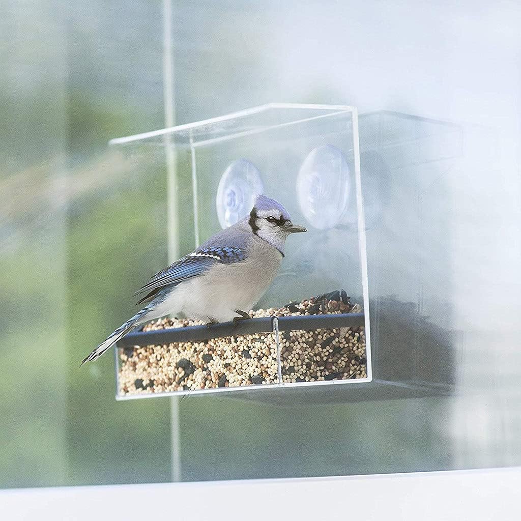 Clear Glass Window Viewing Bird Feeder Hotel Table Peanut Hanging Suction Alimentador Adsorption House Type Bird Feeder