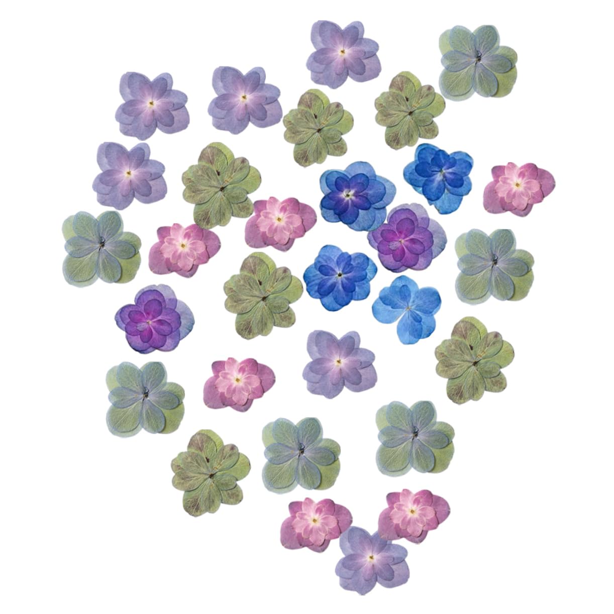 STOBAZA 5 Set Di Fiori Secchi Naturali Mini Fiori Pressati Artigianali Per Segnalibri in Resina Decorativi 30 Pezzi * 5