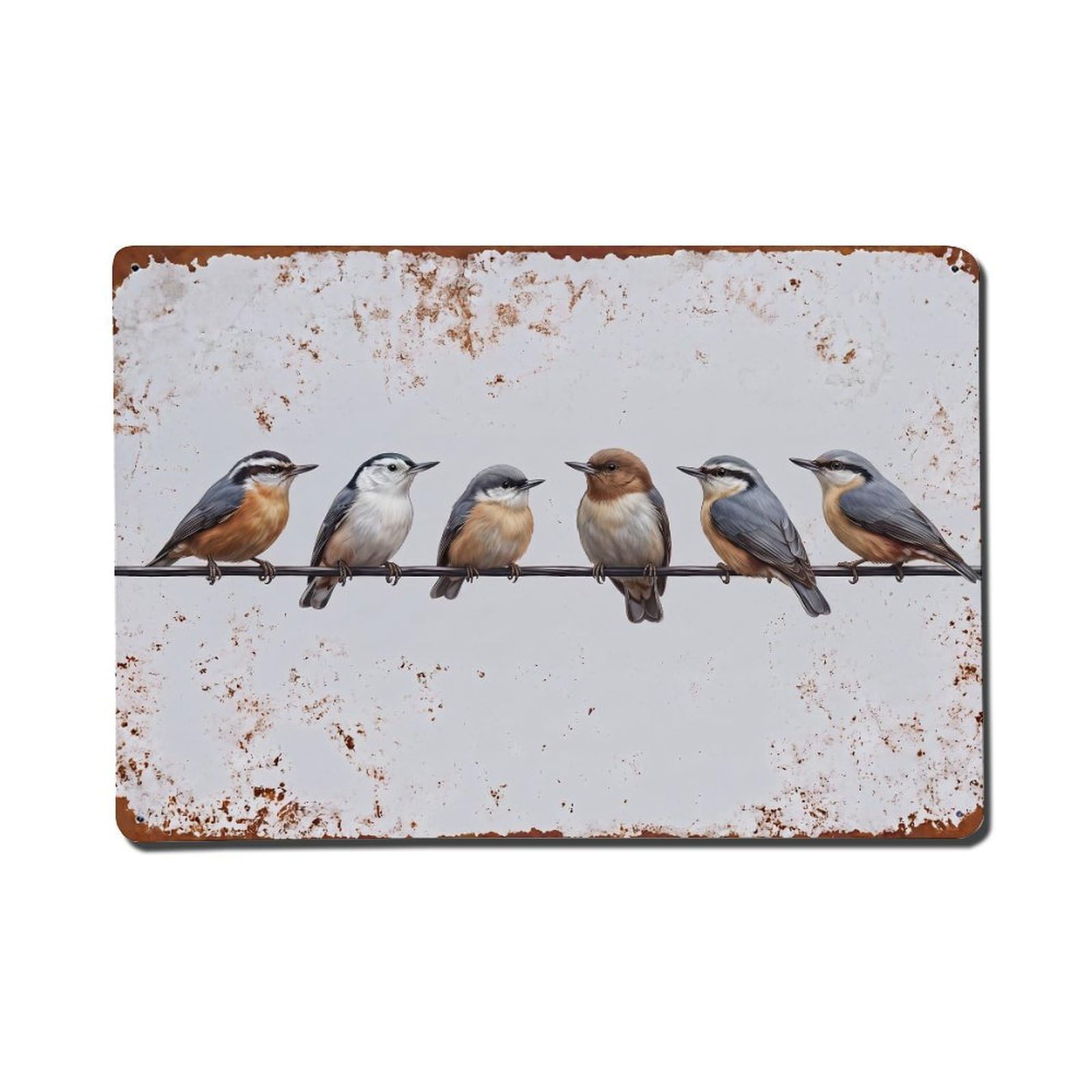 Vintage Retro Birds Nuthatch Metal Tin Sign