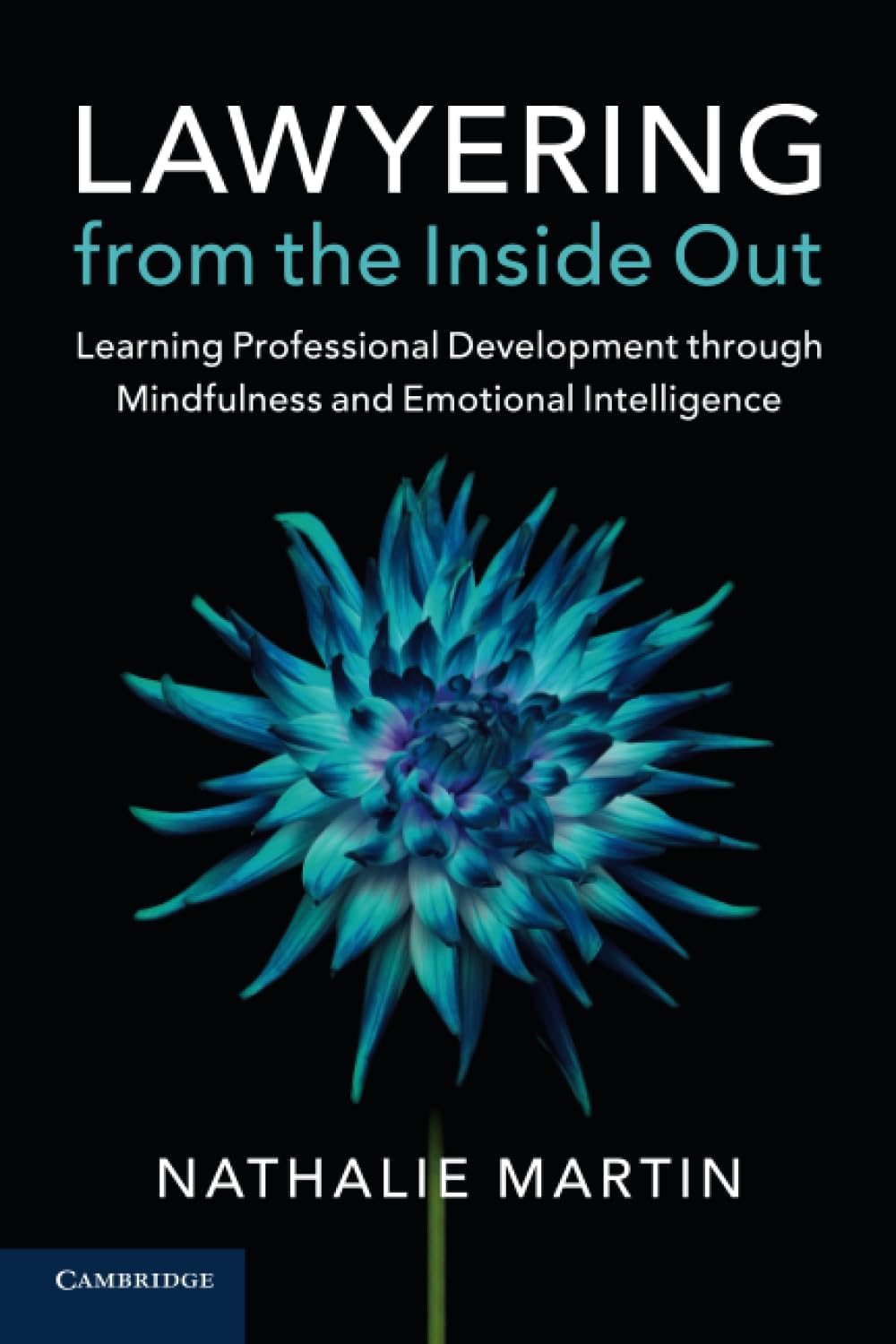 Lawyering from the Inside Out