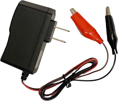 MRS - Cargador de batería de 12 V V con pinzas de cocodrilo para 50 cc, 70 cc, 90 cc, 110 cc, 125 cc, 150 cc, 250 cc, ATV, motocross, Go Kart,