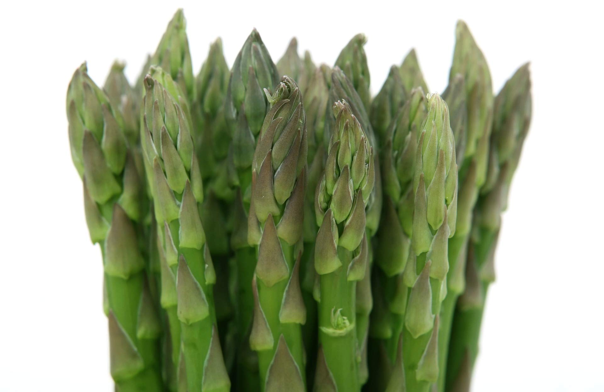 Spargel grün frisch 1 kg Packung