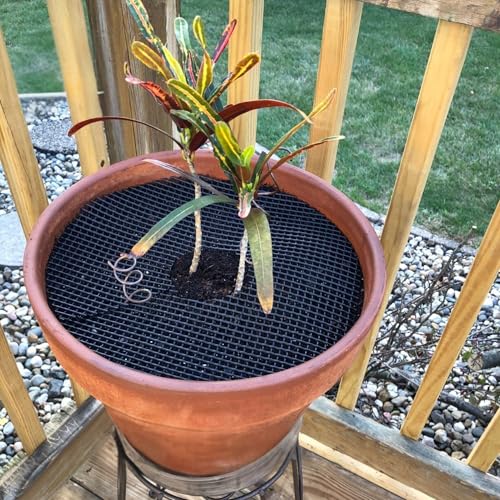 Curtis Wagner Plastics Plant Guard, 16" Diameter, 2-Pack | Plant Protector from Cats & Animals | Plant Soil Cover | Trim-to-Fit Plant Pot Cover for Healthy Root Growth | Indoor or Outdoor Use by Curtis Wagner Plastics Corp. - Used condition - Image 9