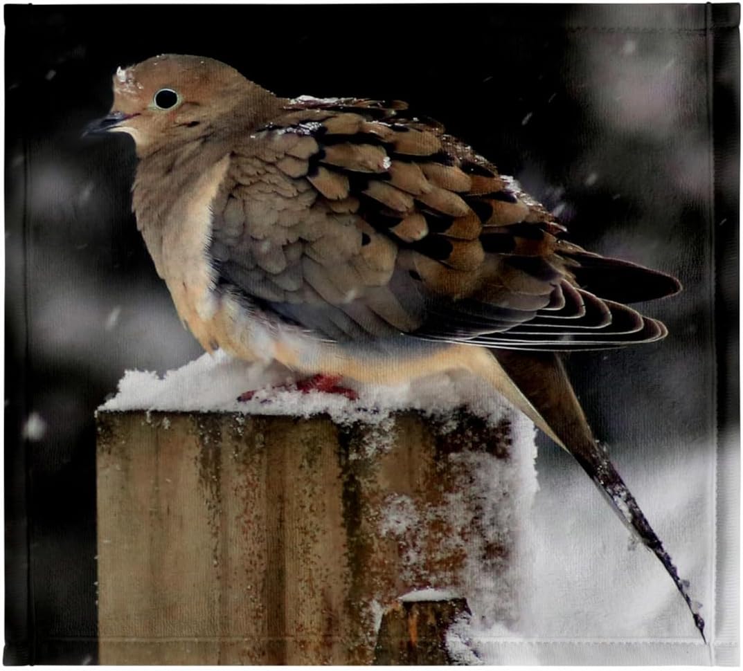 3dRose Photograph of a Mourning Dove Trying to Stay Warm During a Snow Storm. 22x30 Bath Hand Pool Towel