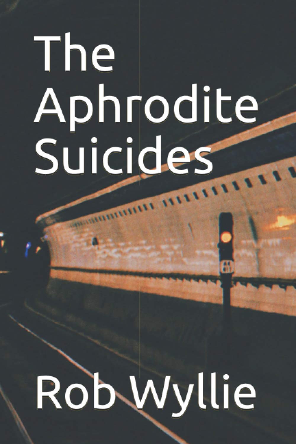 The Aphrodite Suicides (The Maggie Bainbridge Mysteries)