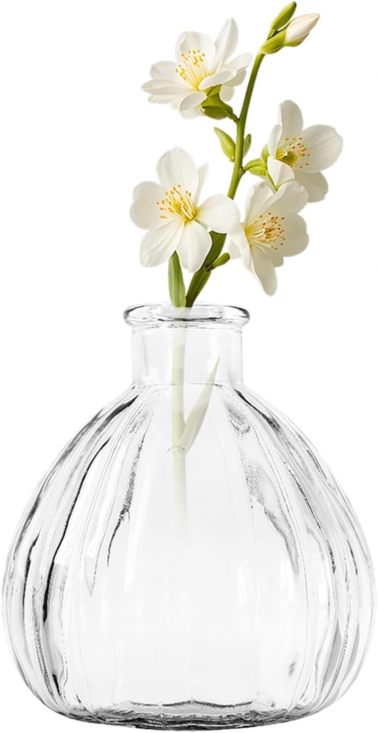 Botella de vidrio difusor de aromas vacía transparente VASANA