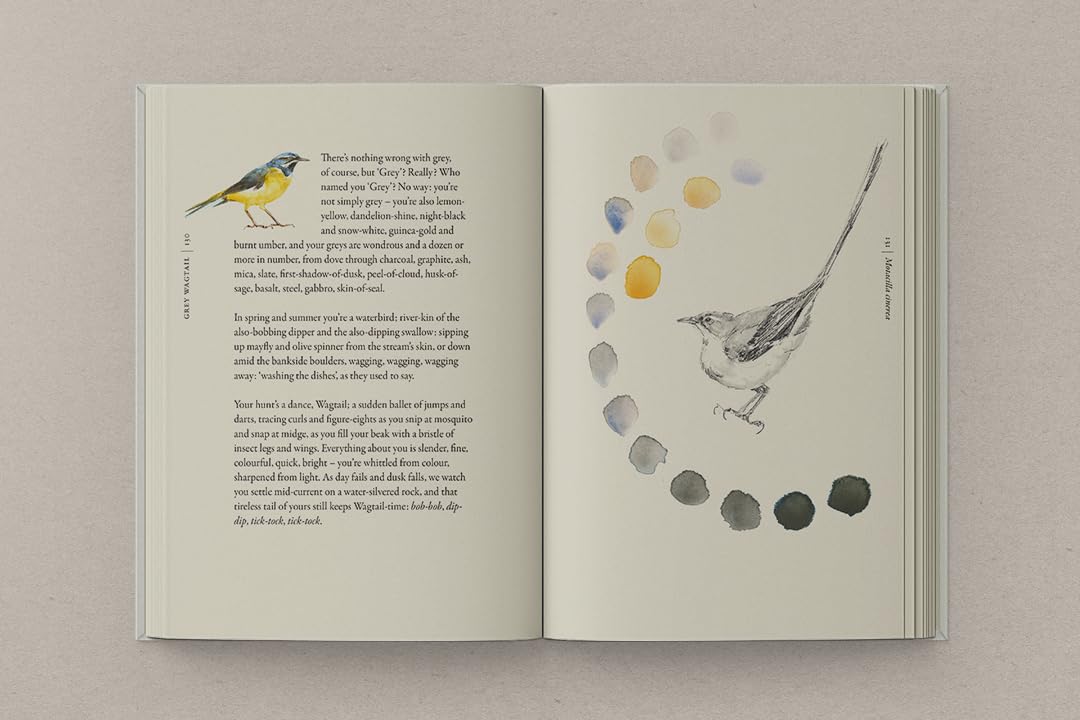 The Book of Birds: The #1 Sunday Times bestseller from the authors of award-winning phenomenon The Lost Words