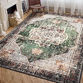 Area Rug 5×7 for...