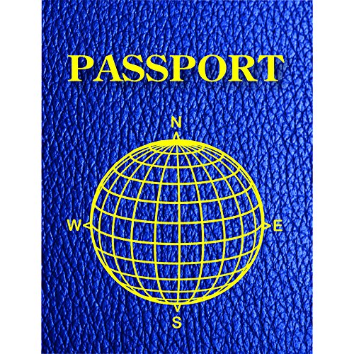 Passeports vierges Ashley Productions lot 12 carnets de voyage cahier dessin enfant