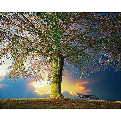 Kit diamant peinture full drill avec un grand motif d'arbre au coucher du soleil 80x180cm