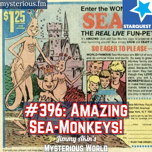 The Amazing Sea-Monkeys!
