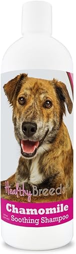 Miniatura 99 de Healthy Breeds Doberman Pinscher Champú calmante para perros de manzanilla, 8 onzas